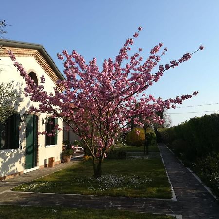 Hotel Casa Pianta Cavallino-Treporti Exterior foto
