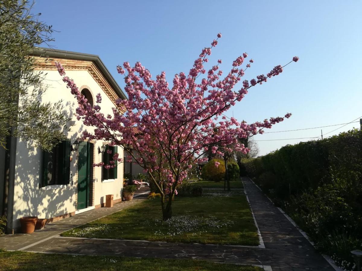 Hotel Casa Pianta Cavallino-Treporti Exterior foto